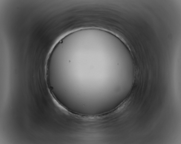 X0000086741535200705041357