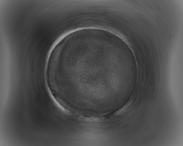 X0000086741536200705041357