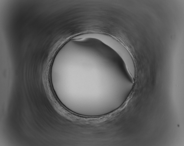 X0000086740001200705111644