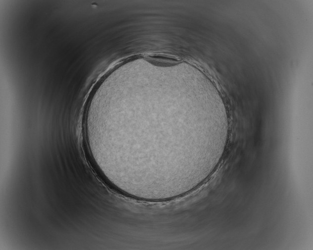 X0000086740002200705111644