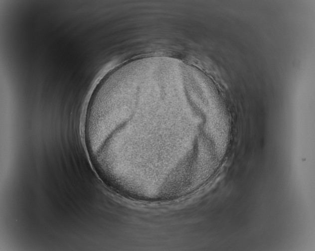 X0000086740003200705111644