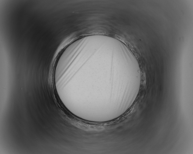 X0000086740004200705111644