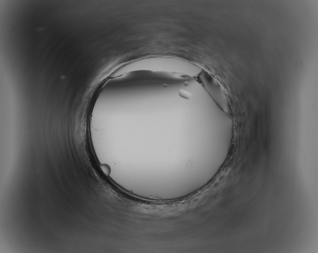 X0000086740005200705111644