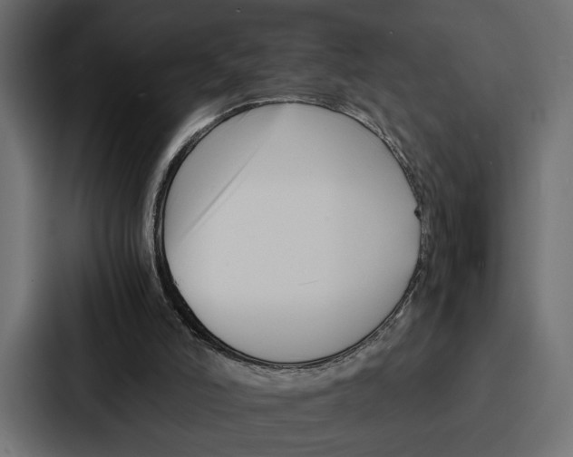 X0000086740006200705111644