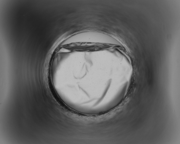 X0000086740007200705111644