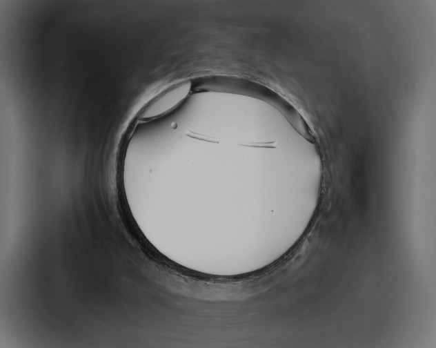 X0000086740008200705111644