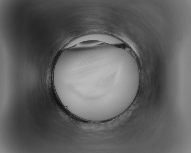 X0000086740009200705111644