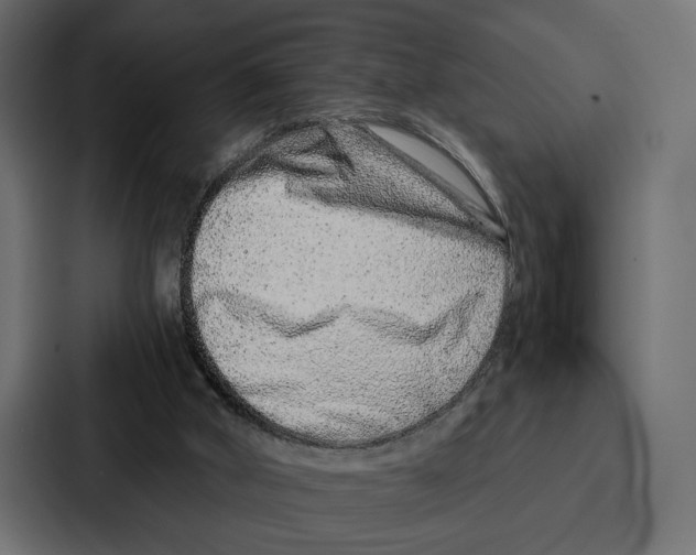 X0000086740010200705111644
