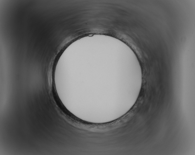 X0000086740011200705111644