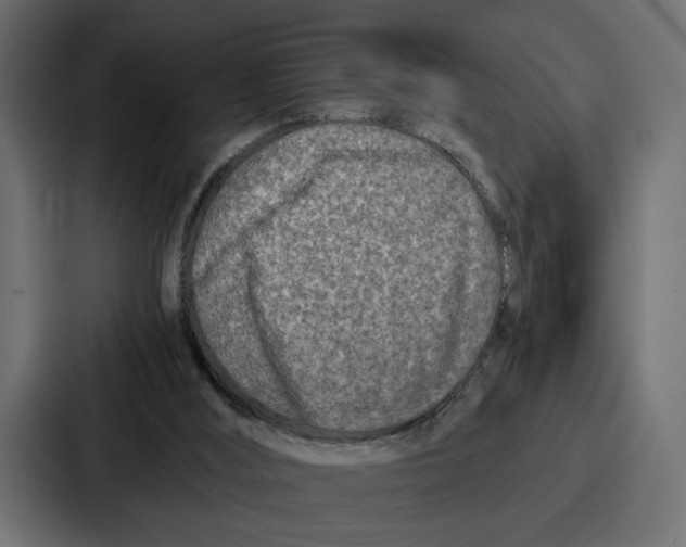 X0000086740012200705111644