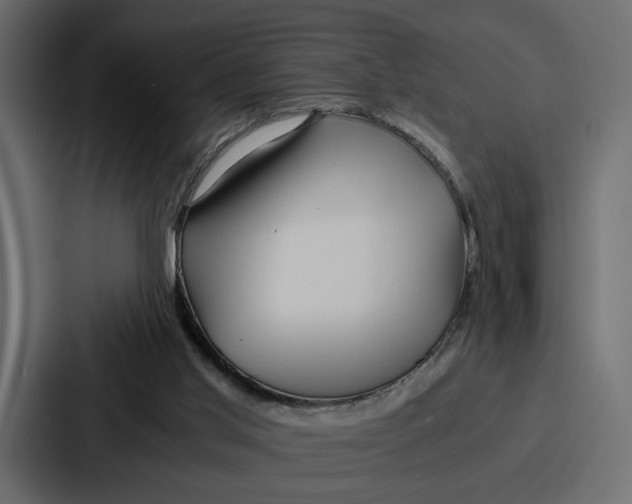 X0000086740013200705111644