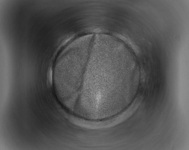 X0000086740014200705111644