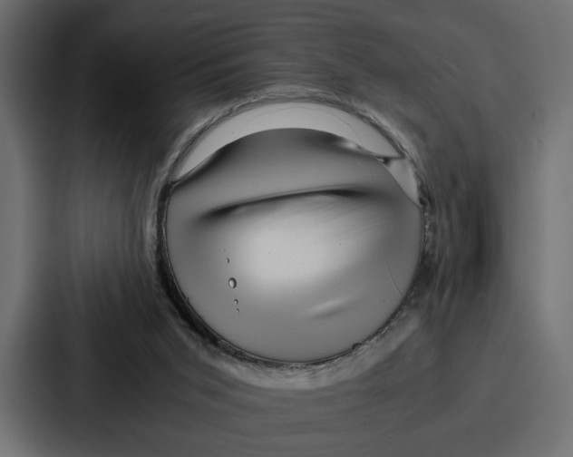 X0000086740015200705111644