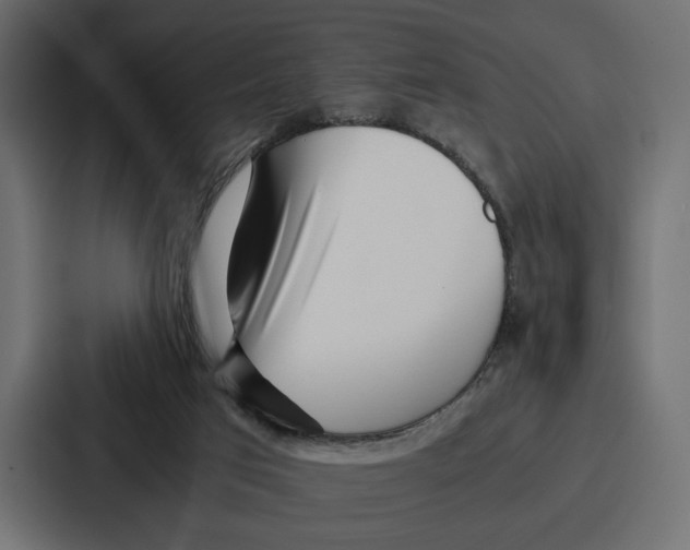 X0000086740017200705111644