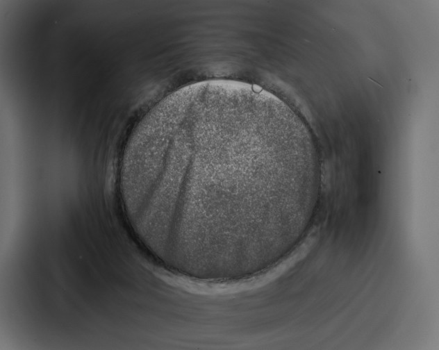 X0000086740018200705111644