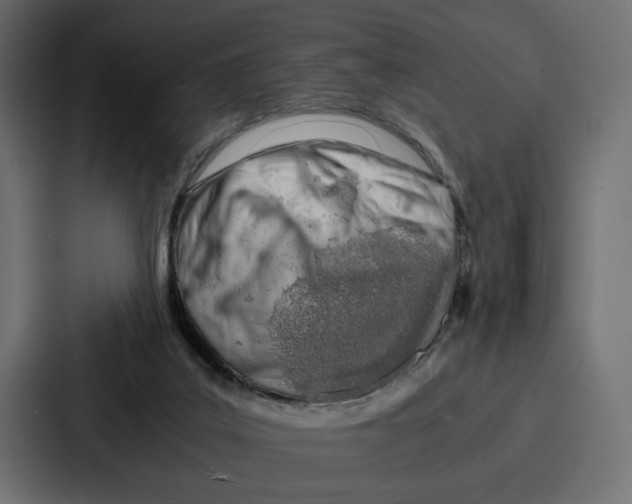 X0000086740019200705111644