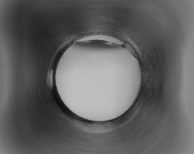 X0000086740020200705111644