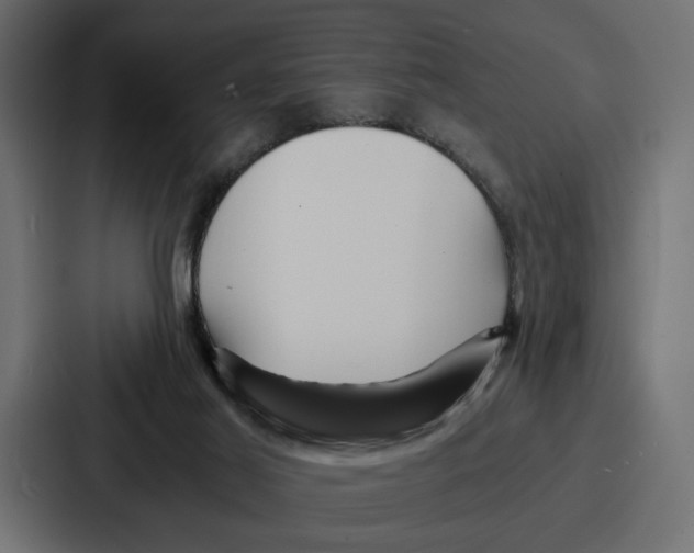 X0000086740021200705111644