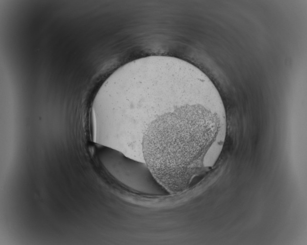 X0000086740023200705111644