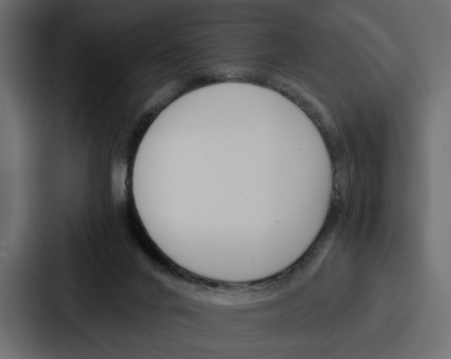 X0000086740024200705111644