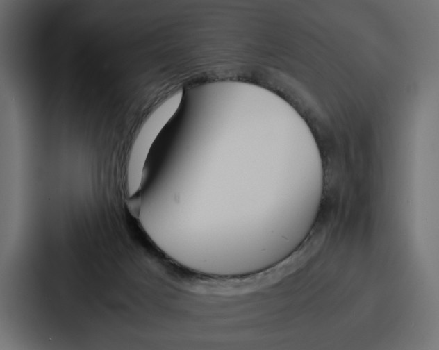 X0000086740025200705111644
