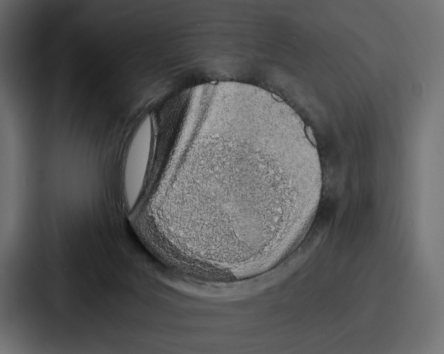 X0000086740027200705111644