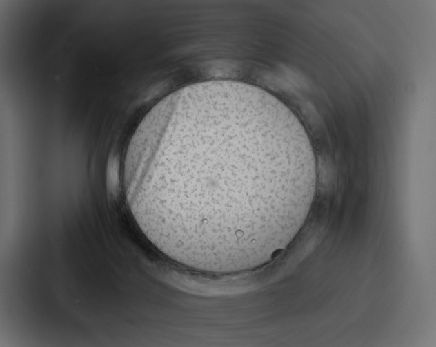 X0000086740028200705111644