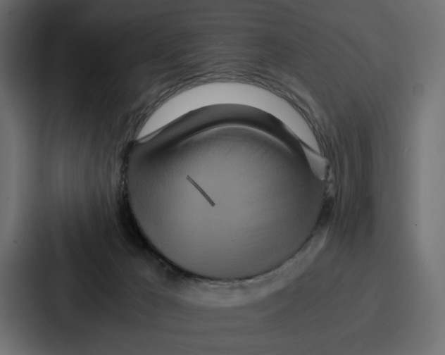 X0000086740029200705111644