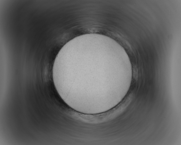 X0000086740030200705111644