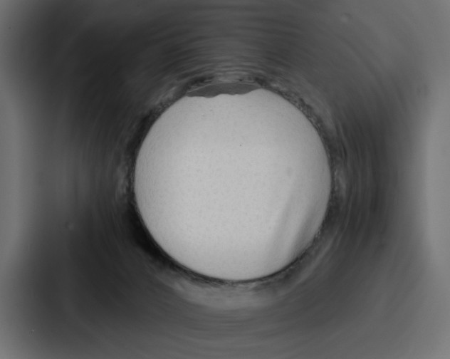 X0000086740032200705111644