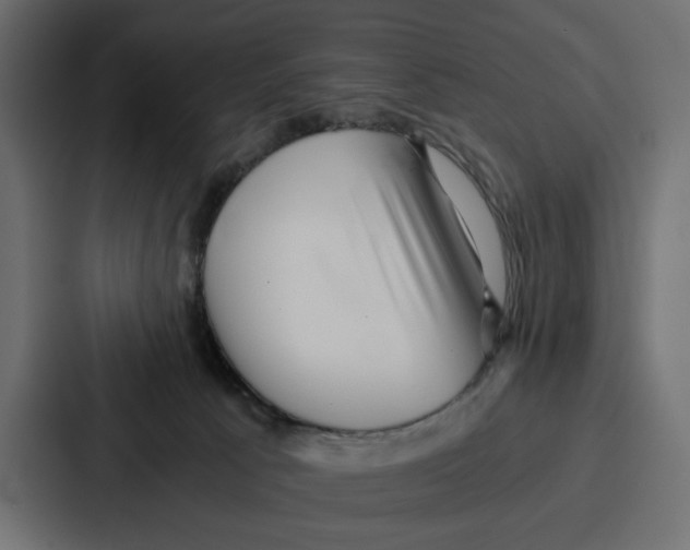 X0000086740033200705111644