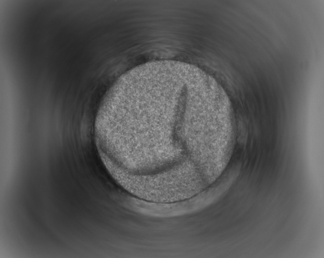 X0000086740034200705111644