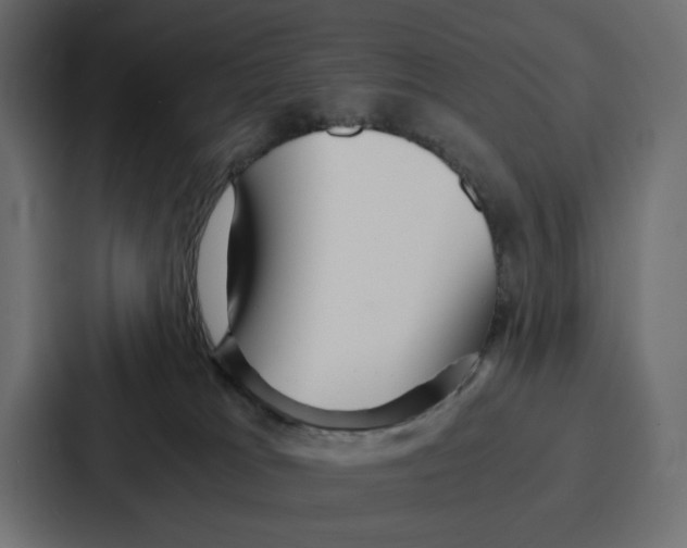 X0000086740037200705111644