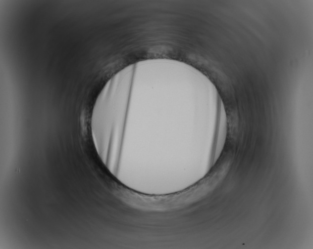 X0000086740038200705111643