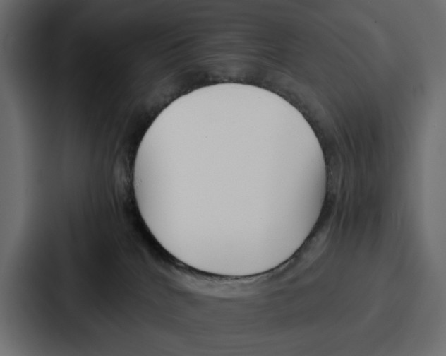 X0000086740040200705111643