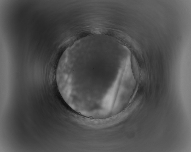 X0000086740043200705111643