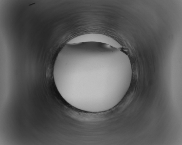 X0000086740044200705111643