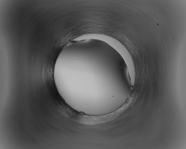 X0000086740045200705111643