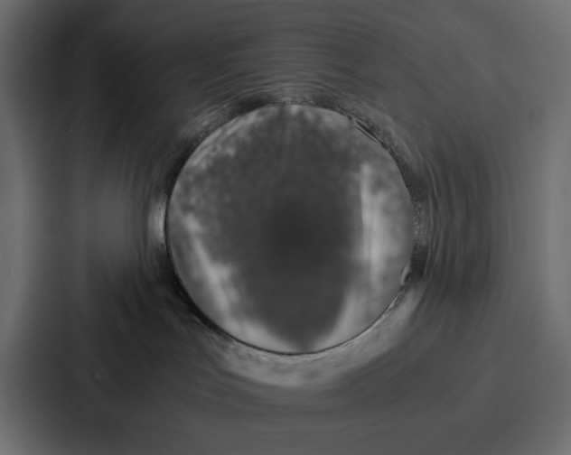 X0000086740047200705111643