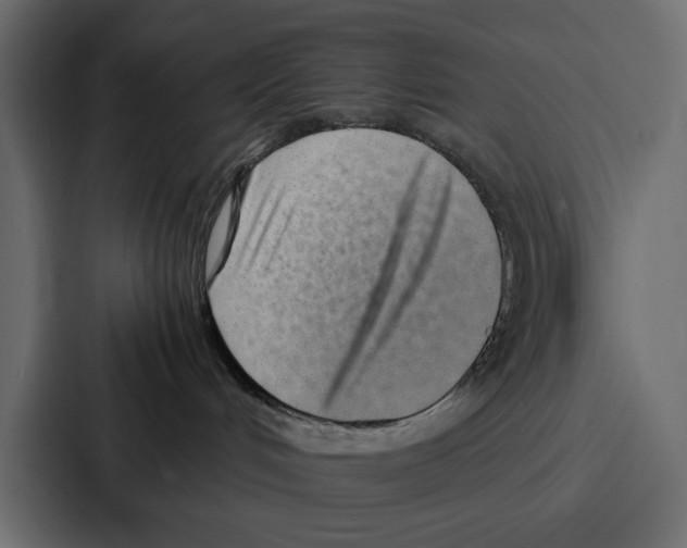 X0000086740048200705111643