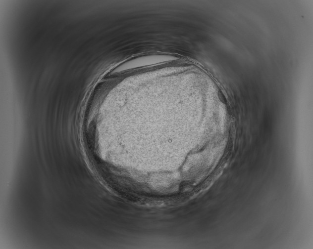 X0000086740049200705111643