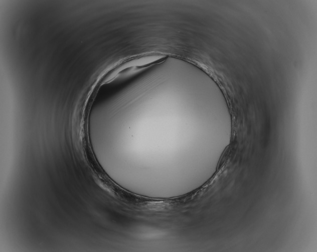 X0000086740050200705111643