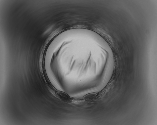 X0000086740051200705111643