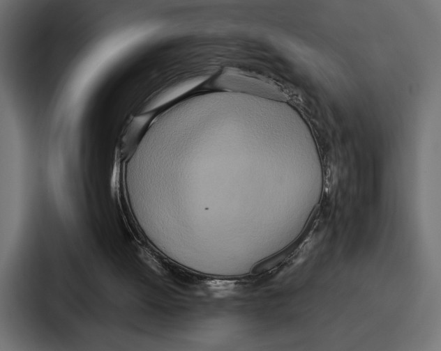 X0000086740052200705111643