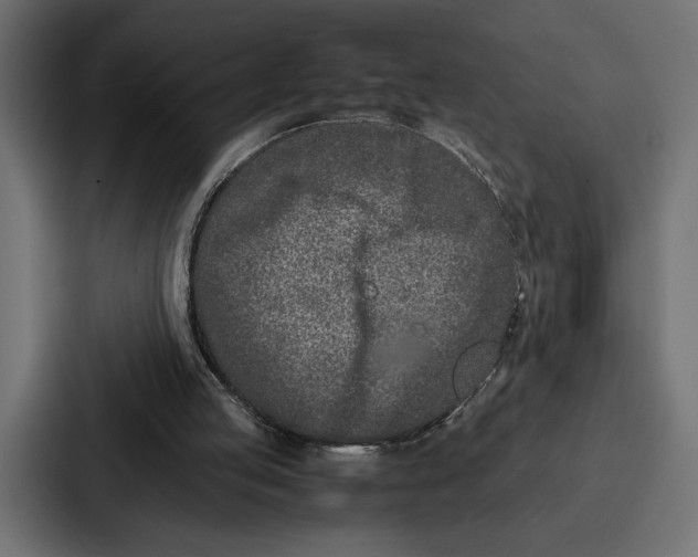 X0000086740053200705111643