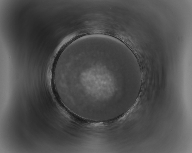 X0000086740054200705111643