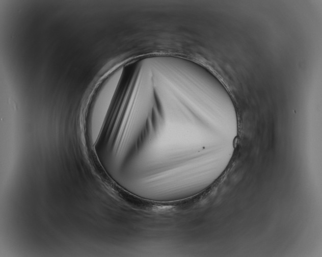 X0000086740055200705111643