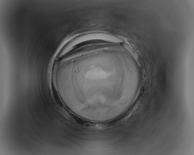 X0000086740056200705111643