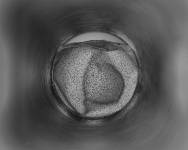 X0000086740057200705111643