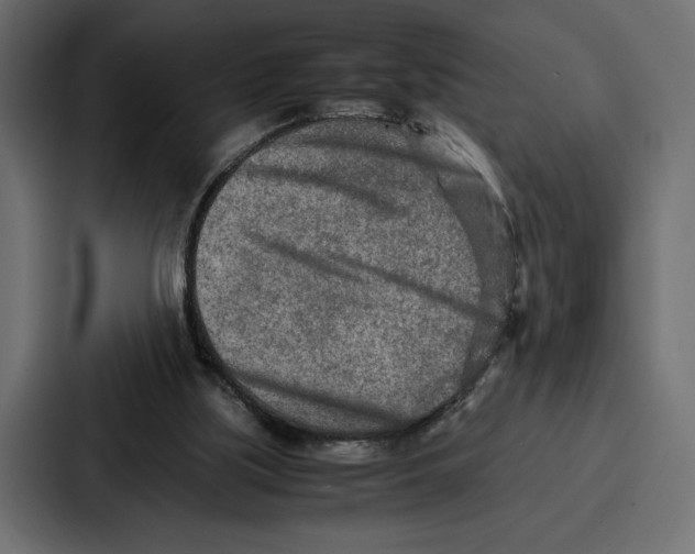 X0000086740059200705111643
